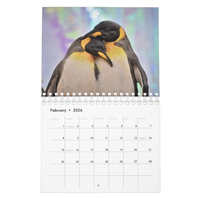 Penguin Calendar (Feb 2026)