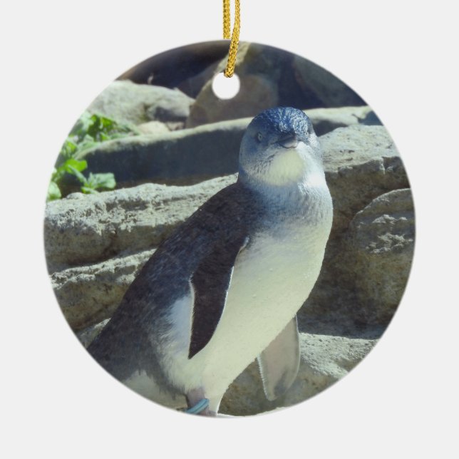 Penguin Ceramic Ornament (Front)