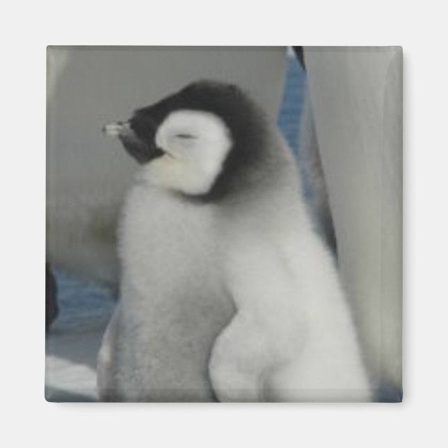 Penguin Chick Magnet (Front)