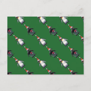 Penguin Christmas Holiday Postcard