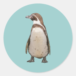 Penguin Classic Round Sticker