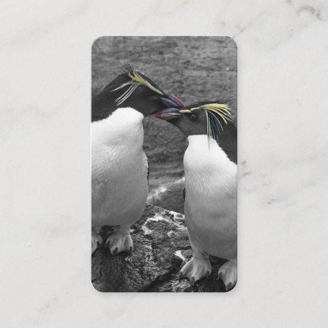 Penguin Color Splash Business Card (Front)