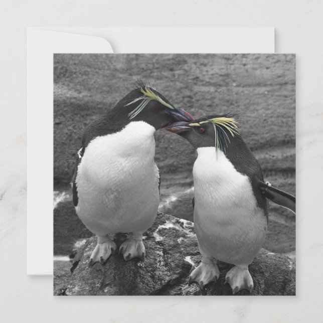 Penguin Color Splash Save The Date (Front)