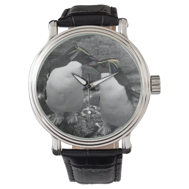 Penguin Color Splash Watch (Front)