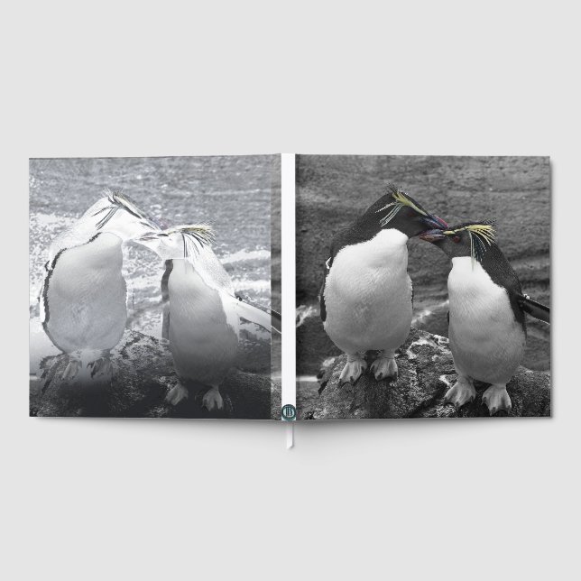 Penguin Colour Splash Guest Book (Full)