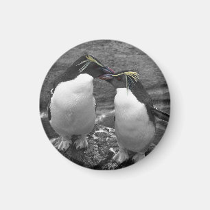 Penguin Colour Splash Magnet