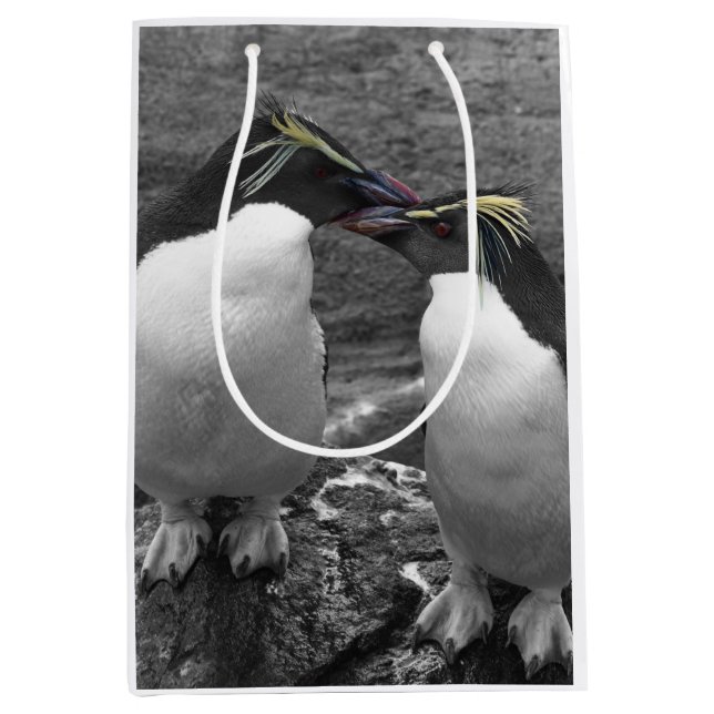 Penguin Colour Splash Medium Gift Bag (Front)