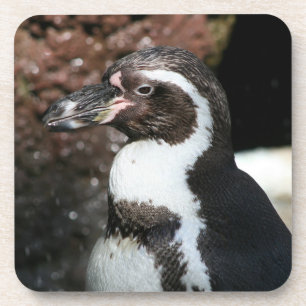 Penguin Cork Coaster set