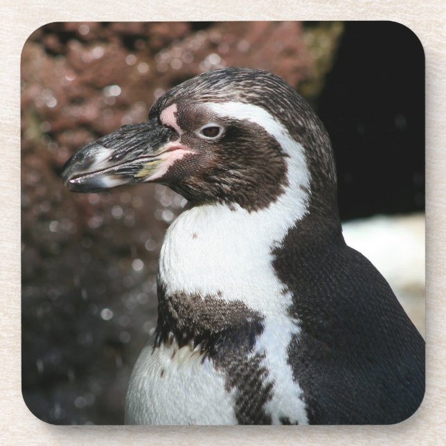 Penguin Cork Coaster set (Front)