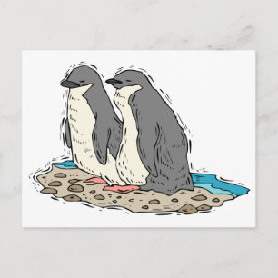 Penguin Couple Sandy Beach Postcard