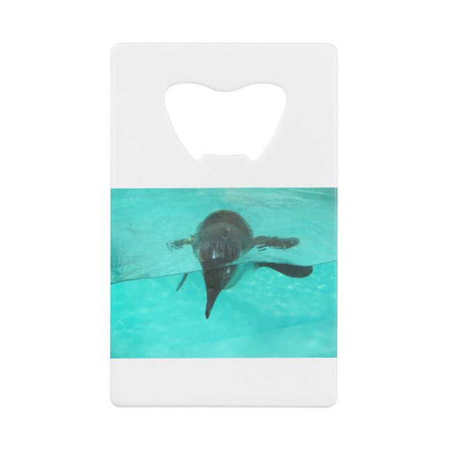 Penguin Diving (Front)