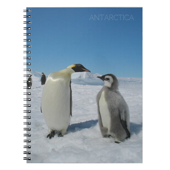 penguin family notebook (Front)