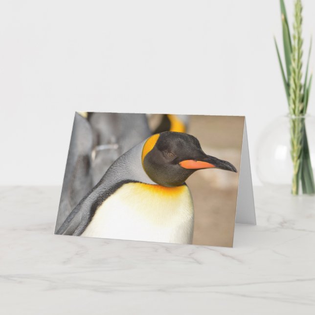 PENGUIN Folded Greeting Card (Front)