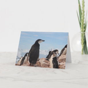 PENGUIN Folded Note Card
