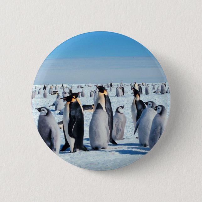 Penguin Gathering 6 Cm Round Badge (Front)