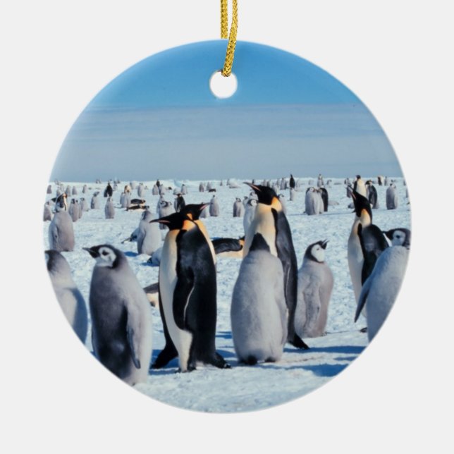 Penguin Gathering Ceramic Ornament (Front)