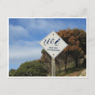 penguin give way postcard