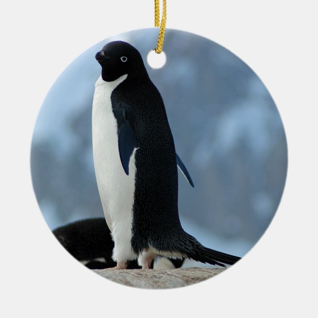 Penguin in Antarctica Ornament (Front)
