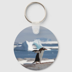 Penguin in front of an ice arch key ring