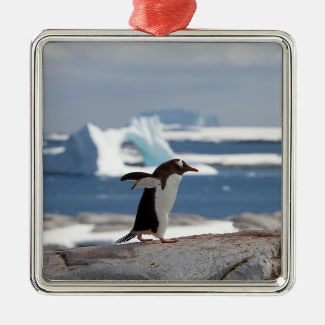 Penguin in front of an ice arch metal ornament (Front)