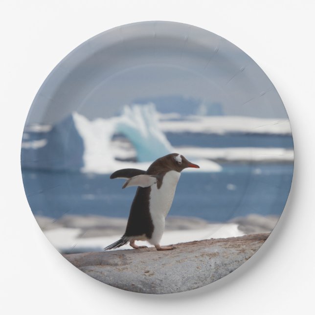 Penguin in front of an ice arch paper plate (Front)