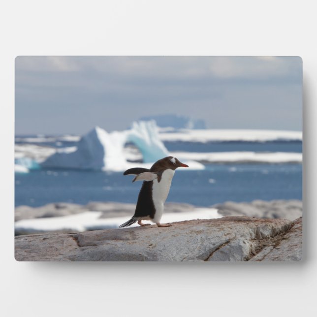 Penguin in front of an ice arch plaque (Front)
