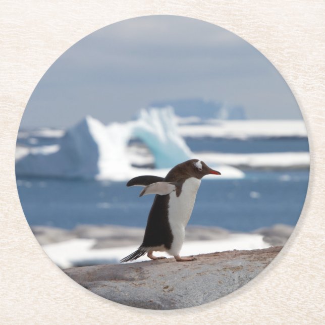 Penguin in front of an ice arch round paper coaster (Front)