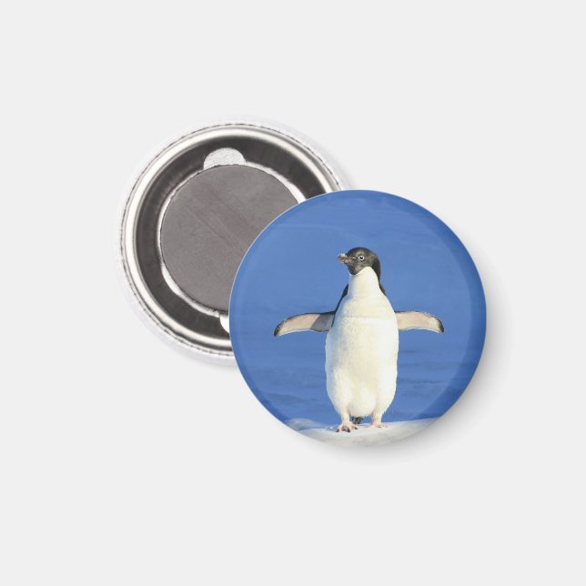 Penguin in the Snow Magnet (Front/Back)
