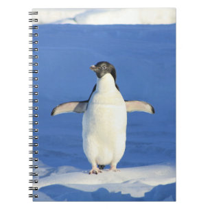 Penguin in the Snow Notebook