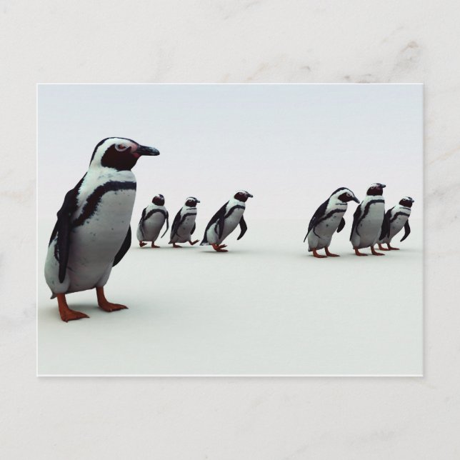 Penguin Line-up Postcard (Front)