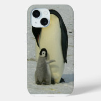 Penguin Looking at Chick