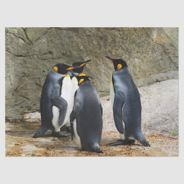 penguin meeting tissue paper (Front)