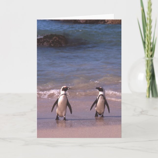 Penguin Pair on the beach Card (Front)