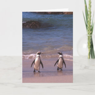 Penguin Pair on the beach card