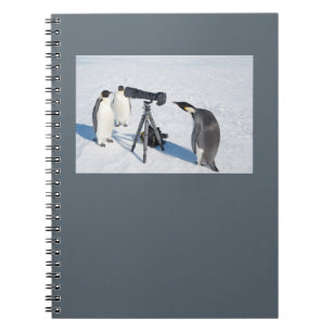 Penguin Paparazzi Notebook