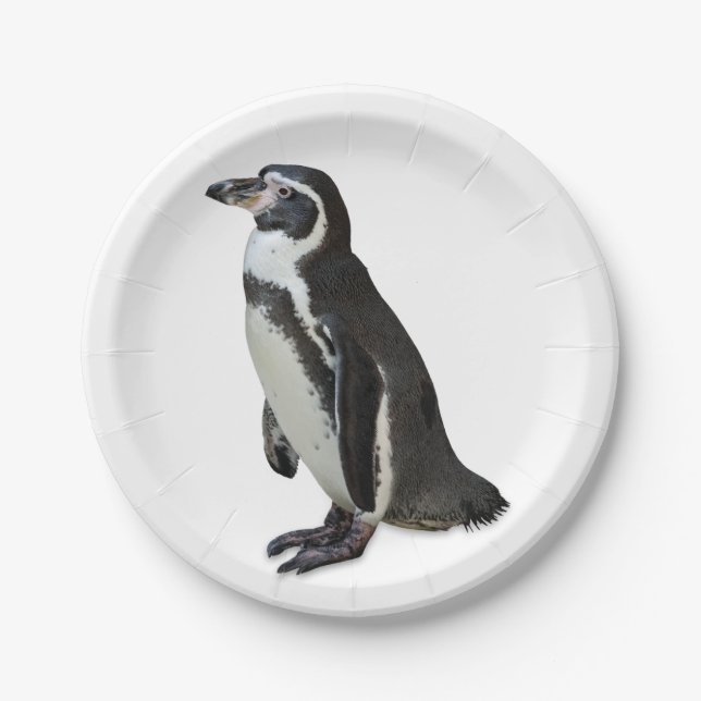 Penguin Paper Plate (Front)