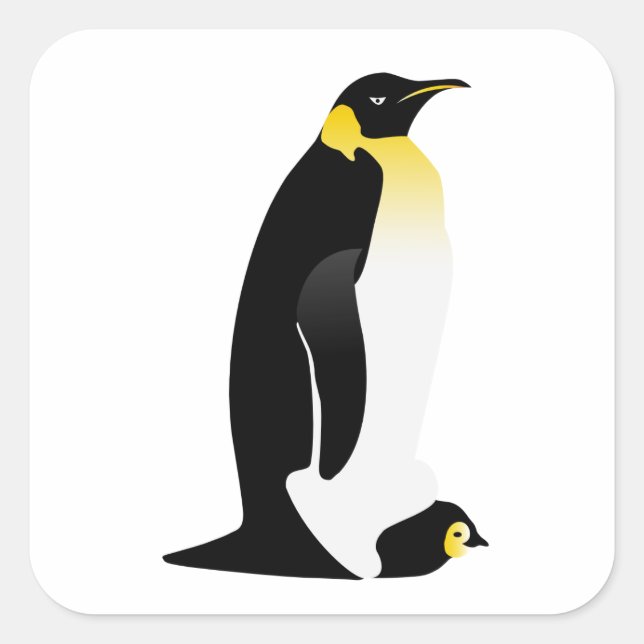 Penguin parent with his baby square sticker (Front)