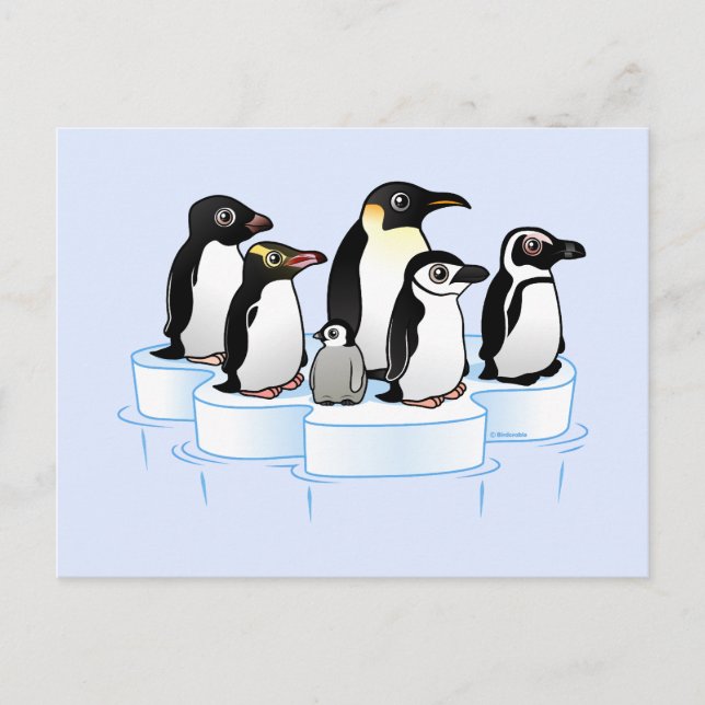 Penguin Party Invitation Postcard (Front)