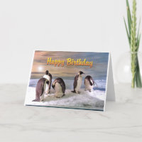 Penguin Photo Happy Birthday Card