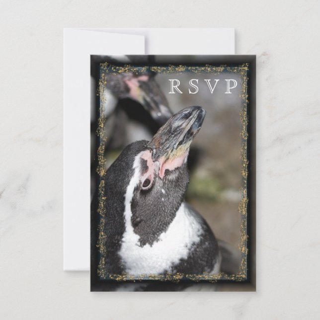 Penguin Photo Zoo Wedding RSVP Cards (Front)