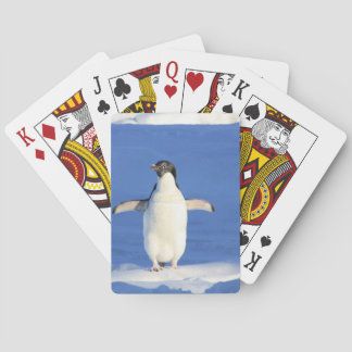 Penguin Playing Cards