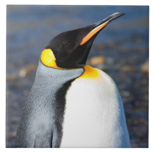 Penguin Portrait Ceramic Tile
