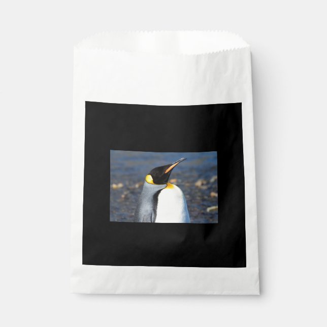 Penguin Portrait Favour Bag (Front)