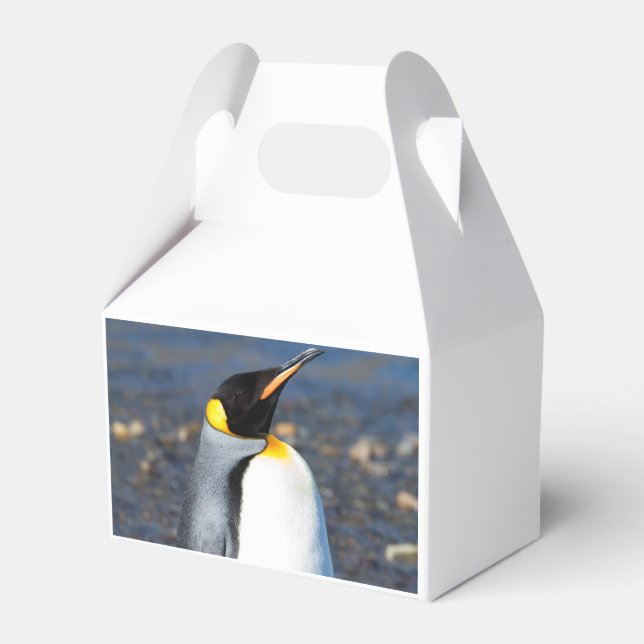 Penguin Portrait Favour Box (Back Side)