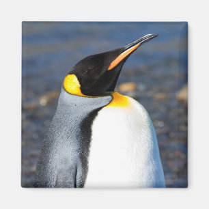 Penguin Portrait Magnet