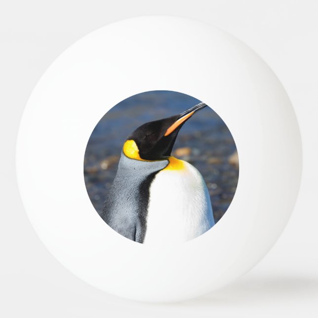Penguin Portrait Ping Pong Ball (Back)