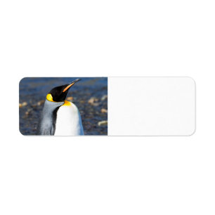 Penguin Portrait Return Address Label
