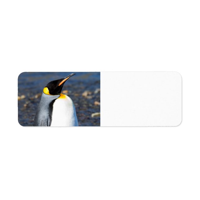 Penguin Portrait Return Address Label (Front)