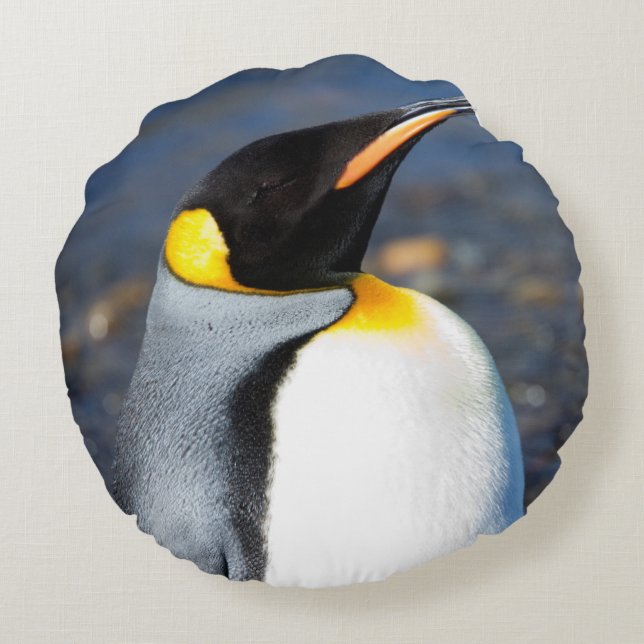 Penguin Portrait Round Cushion (Back)