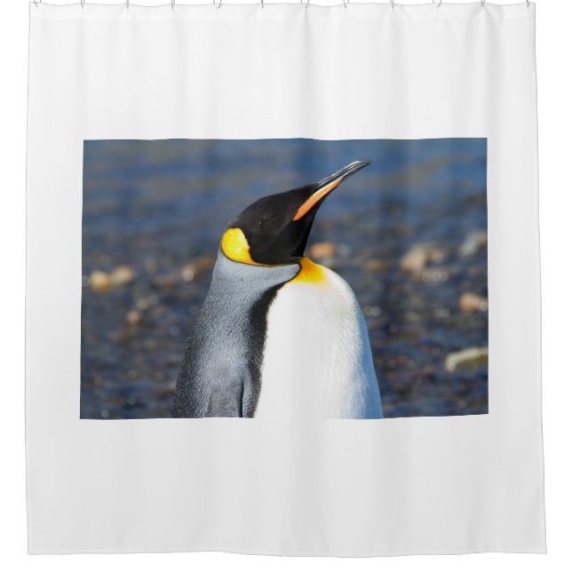 Penguin Portrait Shower Curtain (Front)